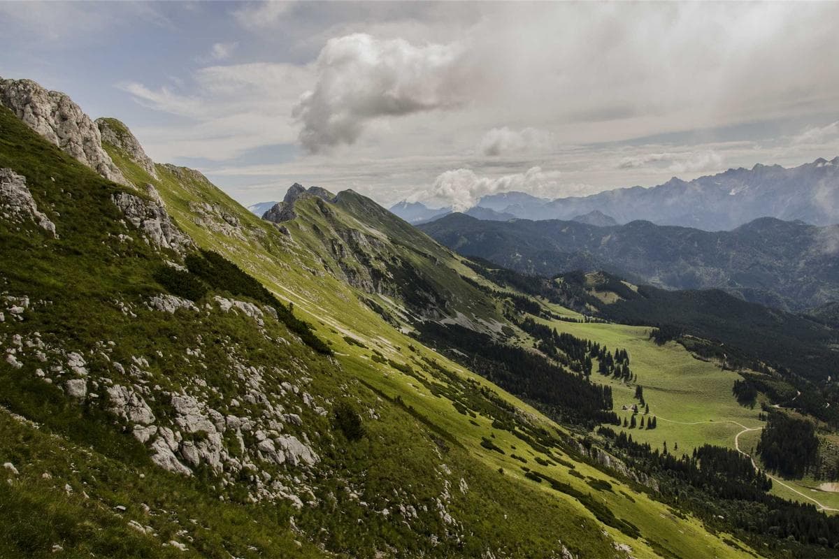 Étang des Mauges — Étang des Mauges